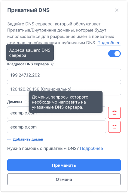 Форма настройки Приватного DNS